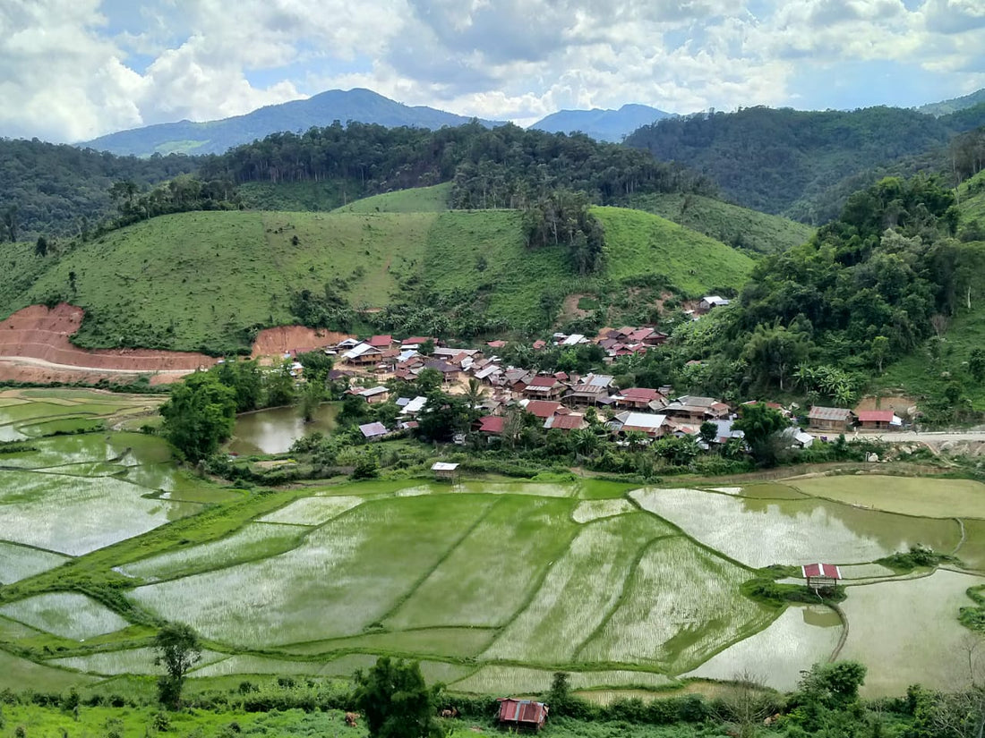 Progetto Ban Poung Village