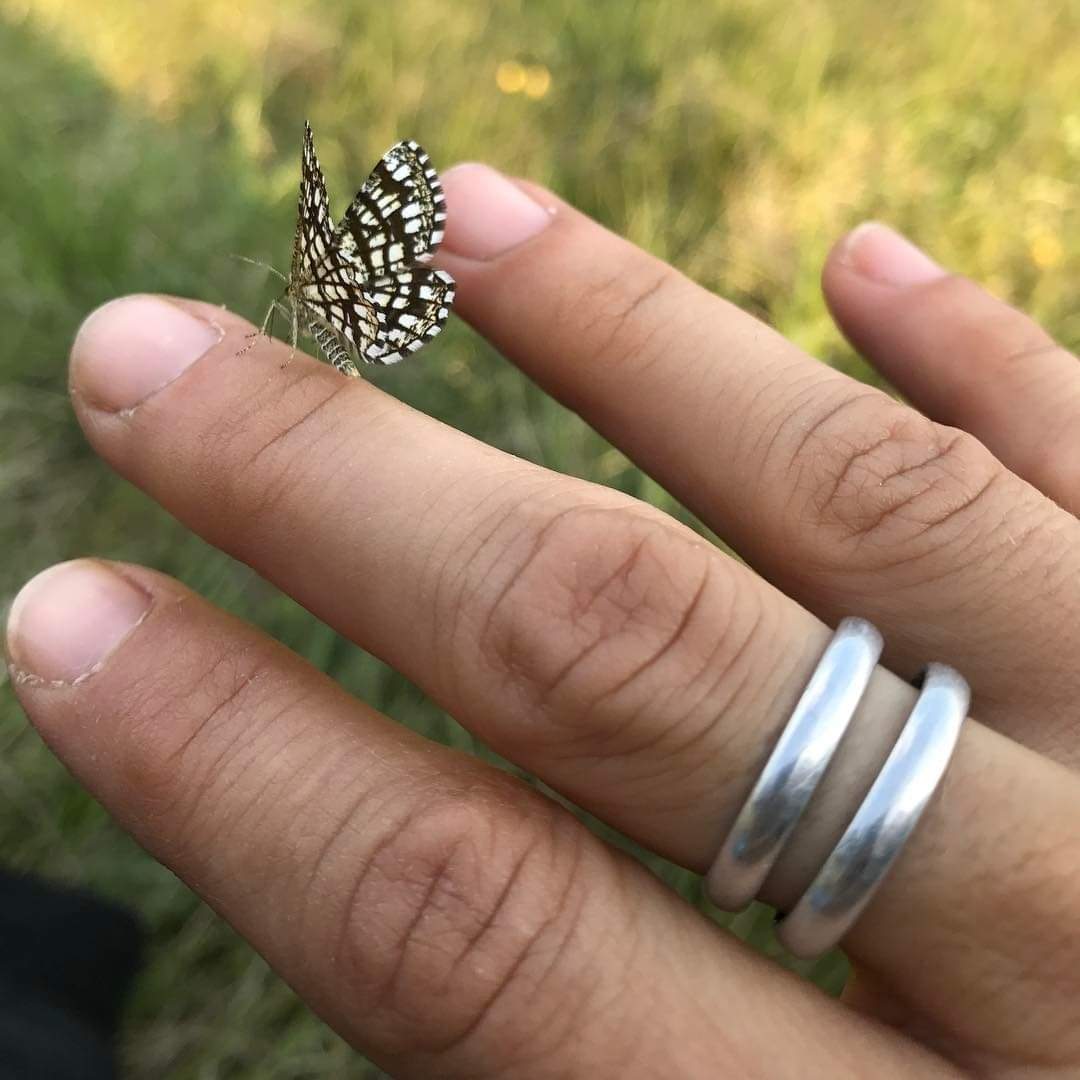 Anillos básicos